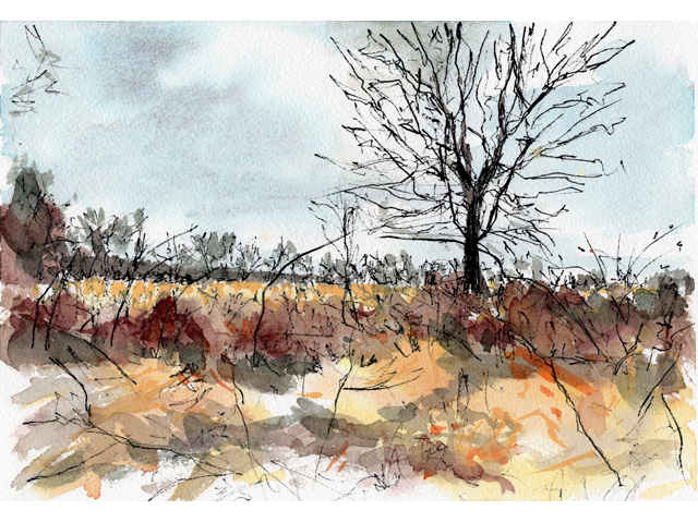 Nearing The End of the Year 2 Nearing the End of the Year 2