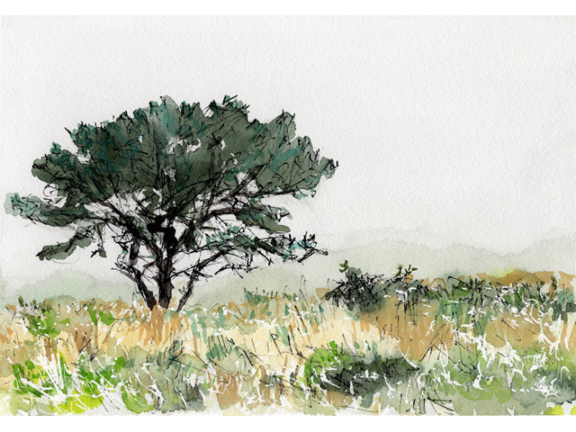 Trail Walk Dionis Land Bank 11 Trail Walk Dionis Land Bank 11